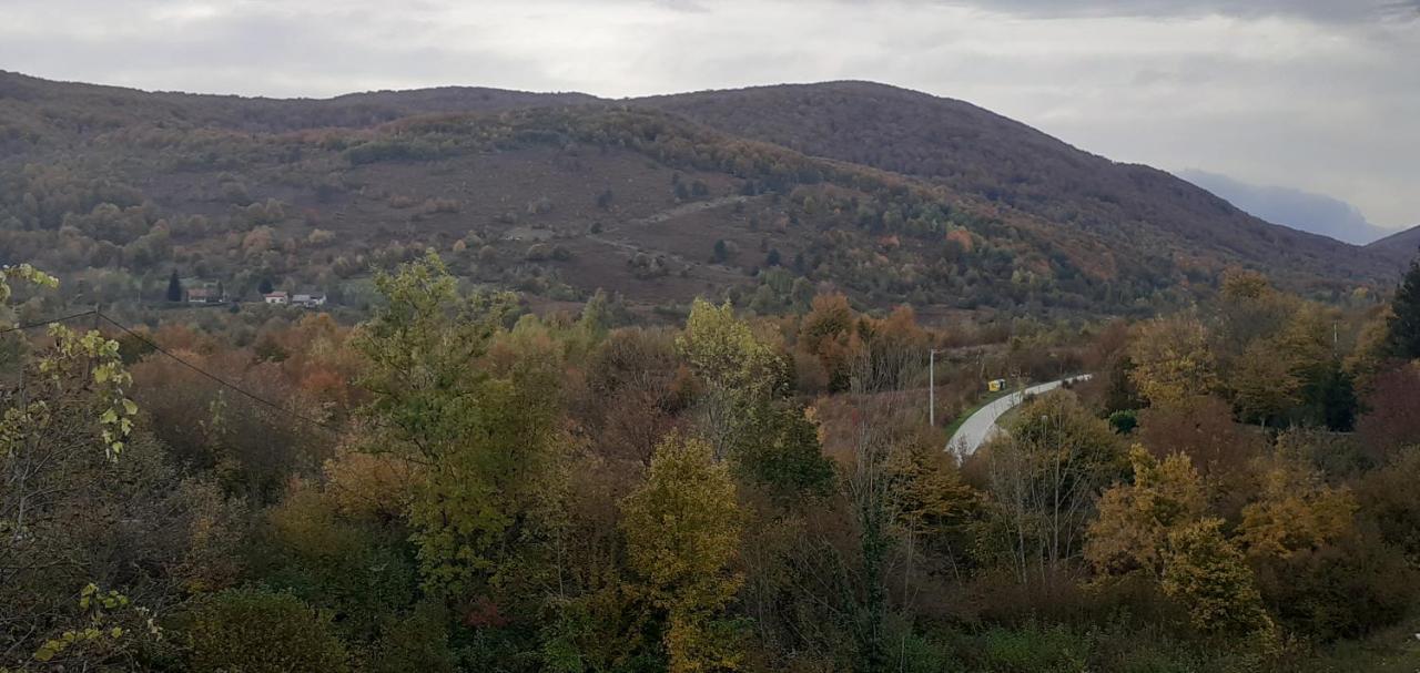 Guesthouse Blazenka Hodak Seliste Dreznicko Exterior foto