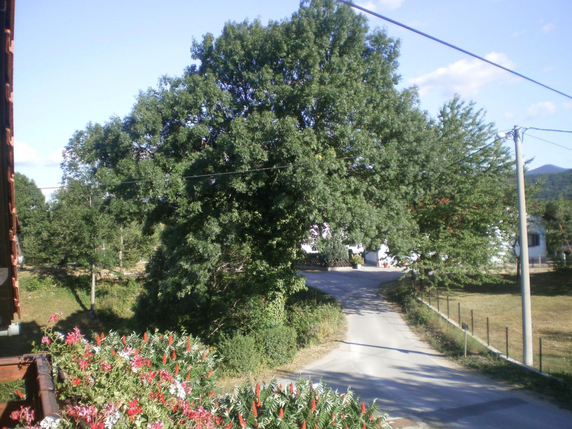 Guesthouse Blazenka Hodak Seliste Dreznicko Exterior foto