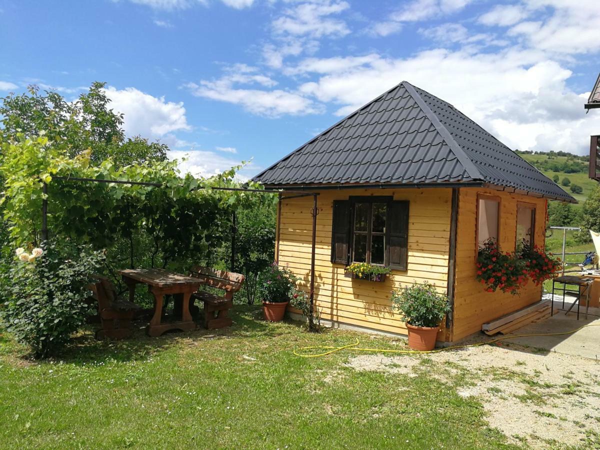 Guesthouse Blazenka Hodak Seliste Dreznicko Exterior foto