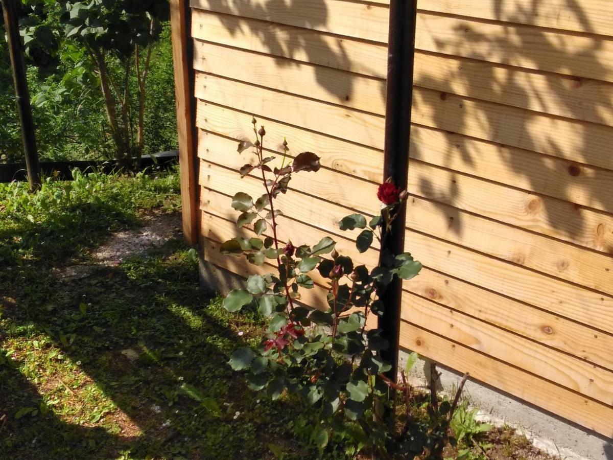 Guesthouse Blazenka Hodak Seliste Dreznicko Exterior foto