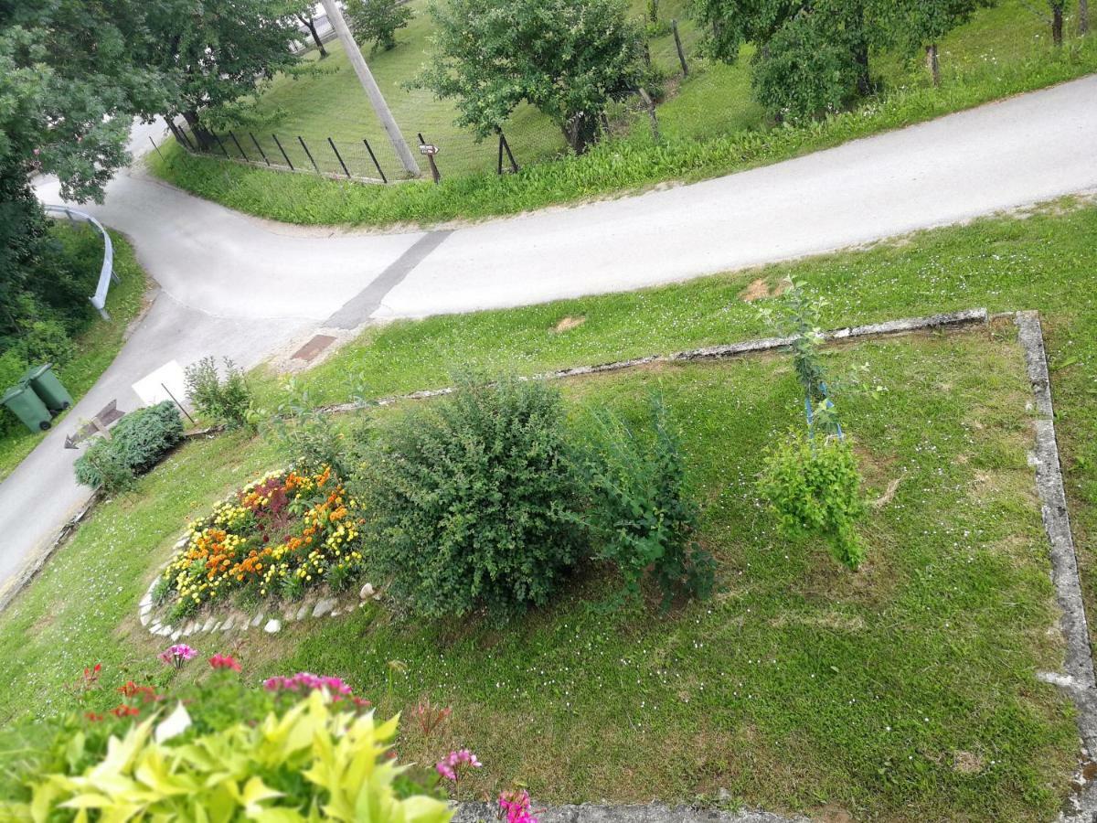 Guesthouse Blazenka Hodak Seliste Dreznicko Exterior foto