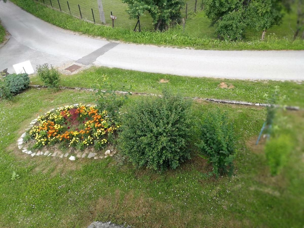 Guesthouse Blazenka Hodak Seliste Dreznicko Exterior foto